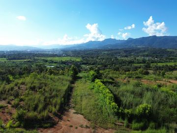 Un terreno de 600 m² cerca de Tarapoto, con agua y luz, te ofrece la posibilidad de crear ese espacio familiar soñado en un entorno único.