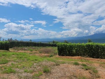 Un terreno de 600 m² cerca de Tarapoto, con agua y luz, te ofrece la posibilidad de crear ese espacio familiar soñado en un entorno único.