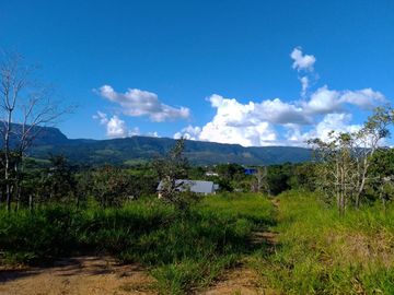 Un terreno de 600 m² cerca de Tarapoto, con agua y luz, te ofrece la posibilidad de crear ese espacio familiar soñado en un entorno único.