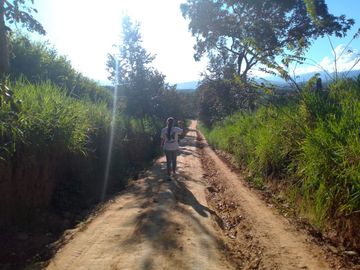 Un terreno de 600 m² cerca de Tarapoto, con agua y luz, te ofrece la posibilidad de crear ese espacio familiar soñado en un entorno único.