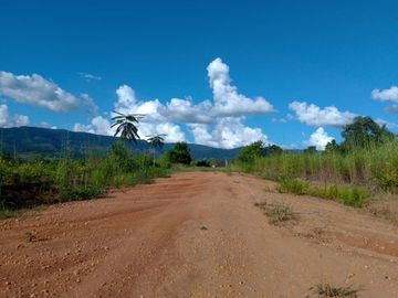 Un terreno de 600 m² cerca de Tarapoto, con agua y luz, te ofrece la posibilidad de crear ese espacio familiar soñado en un entorno único.