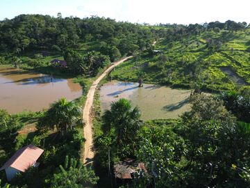Las Palmas: Un entorno tranquilo con una comunidad en crecimiento y cerca de Tarapoto.