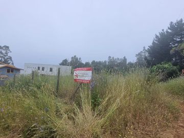 SITIO MORROS DE COLIUMO
