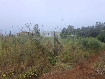 SITIO MORROS DE COLIUMO