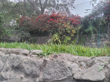 Vendo Casa en El Cuadro Chaclacayo el Area más grande!