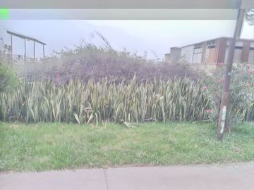 Vendo Casa en El Cuadro Chaclacayo el Area más grande!