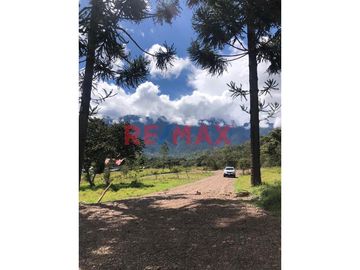 Oxapampa, Atención Inversionistas Y Desarrolladores De Proyectos Inmobiliarios. Inmejorable Oportunidad De Compra De Terreno Rural Con Proyecto De Des