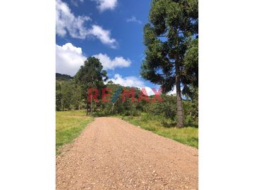 Oxapampa, Atención Inversionistas Y Desarrolladores De Proyectos Inmobiliarios. Inmejorable Oportunidad De Compra De Terreno Rural Con Proyecto De Des
