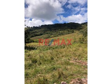 Oxapampa, Atención Inversionistas Y Desarrolladores De Proyectos Inmobiliarios. Inmejorable Oportunidad De Compra De Terreno Rural Con Proyecto De Des