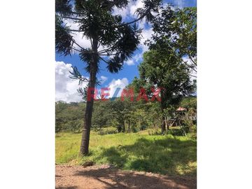 Oxapampa, Atención Inversionistas Y Desarrolladores De Proyectos Inmobiliarios. Inmejorable Oportunidad De Compra De Terreno Rural Con Proyecto De Des
