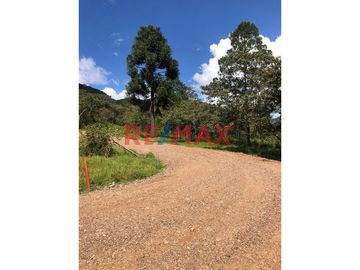 Oxapampa, Atención Inversionistas Y Desarrolladores De Proyectos Inmobiliarios. Inmejorable Oportunidad De Compra De Terreno Rural Con Proyecto De Des