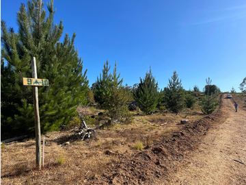 Parcelas en Pichilemu, Con Mucho Espacio Plano