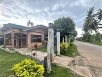 Affordable house in the center of Panglao Bohol