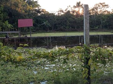 Ocasión Venta Terreno Iquitos