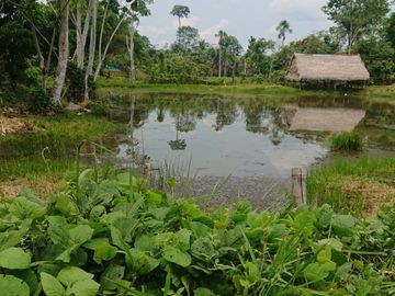 Ocasión Venta Terreno Iquitos