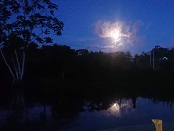 Ocasión Venta Terreno Iquitos