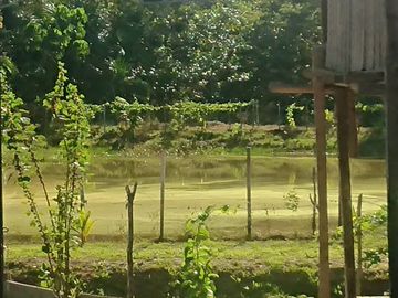 Ocasión Venta Terreno Iquitos