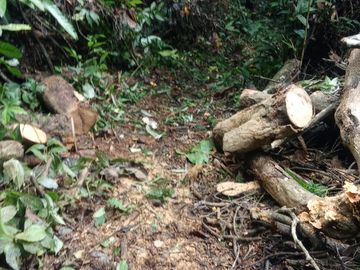 Ocasión Venta Terreno Iquitos