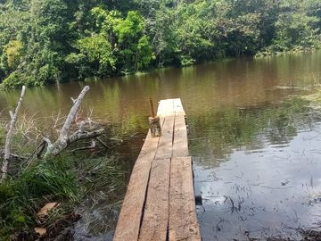 Ocasión Venta Terreno Iquitos