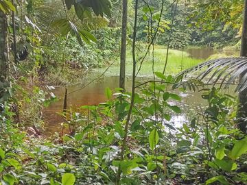 Ocasión Venta Terreno Iquitos