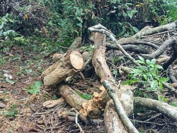 Ocasión Venta Terreno Iquitos
