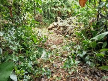 Ocasión Venta Terreno Iquitos