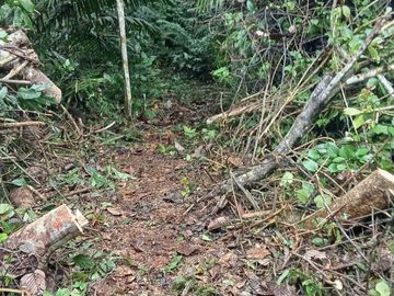 Ocasión Venta Terreno Iquitos