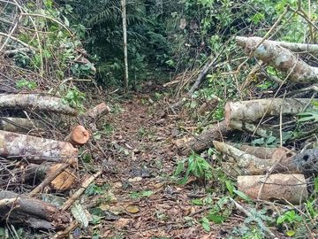 Ocasión Venta Terreno Iquitos
