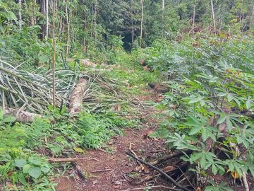 Ocasión Venta Terreno Iquitos