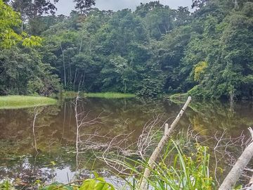Ocasión Venta Terreno Iquitos