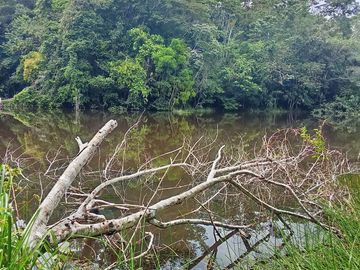 Ocasión Venta Terreno Iquitos