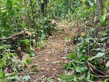 Ocasión Venta Terreno Iquitos