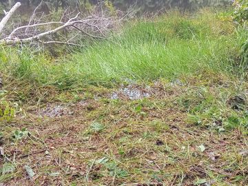 Ocasión Venta Terreno Iquitos