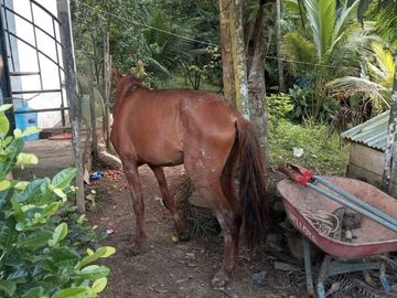 Ocasión Venta Terreno Iquitos
