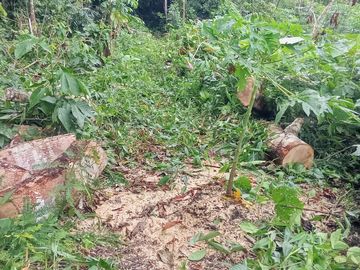 Ocasión Venta Terreno Iquitos