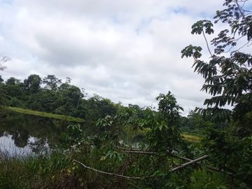 Ocasión Venta Terreno Iquitos