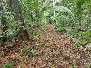 Ocasión Venta Terreno Iquitos