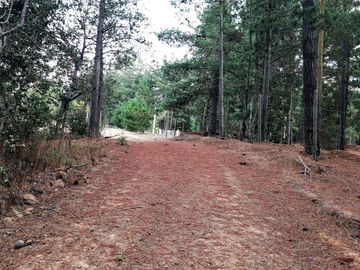 VENDE 2 HERMOSAS PARCELAS, LOTEO “ALTOS DE QUINTAY”, COMUNA CASABLANCA