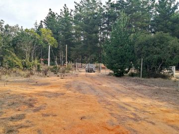VENDE 2 HERMOSAS PARCELAS, LOTEO “ALTOS DE QUINTAY”, COMUNA CASABLANCA