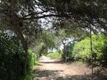 Terreno, 3,321 m2, Bujama Alta, Mala, Km 90 Panamericana Sur, Condominio Valle Escondido