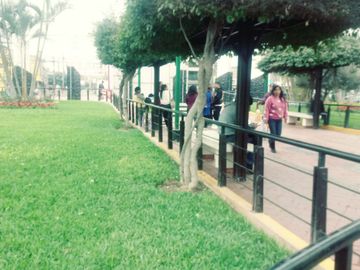 ALQUILO OFICINA 201 PLAZA DE ARMAS DE Puente Piedra 10m2 PISO2