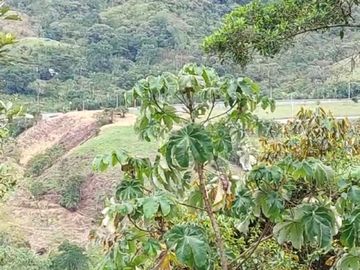 VENDO ESTA DIVINA FINCA, BIEN BARATA, EN BARBOSA ANTIOQUIA