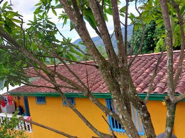 VENDO ESTA DIVINA FINCA, BIEN BARATA, EN BARBOSA ANTIOQUIA