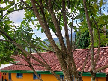 VENDO ESTA DIVINA FINCA, BIEN BARATA, EN BARBOSA ANTIOQUIA