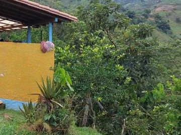 VENDO ESTA DIVINA FINCA, BIEN BARATA, EN BARBOSA ANTIOQUIA