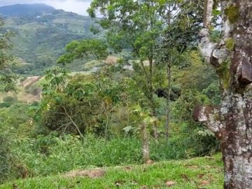 VENDO ESTA DIVINA FINCA, BIEN BARATA, EN BARBOSA ANTIOQUIA