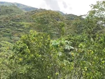 VENDO ESTA DIVINA FINCA, BIEN BARATA, EN BARBOSA ANTIOQUIA