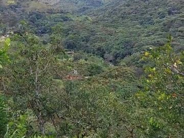 VENDO ESTA DIVINA FINCA, BIEN BARATA, EN BARBOSA ANTIOQUIA