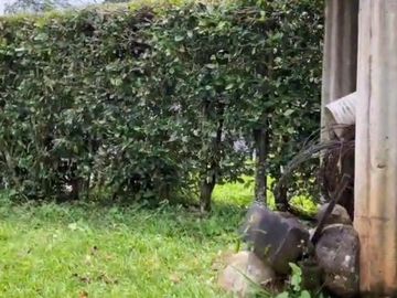 VENDO ESTA DIVINA FINCA, BIEN BARATA, EN BARBOSA ANTIOQUIA