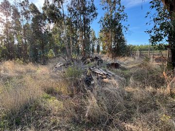 Vende Parcela terreno 5.500 m2 sector oro verde km 8 camino interior junta de vecino sol de chillan